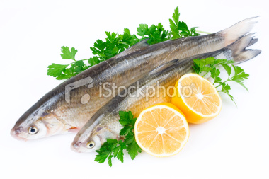 Seafood/Fresh Sushi