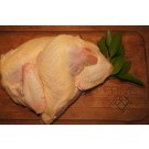 Bone in Chicken Breast