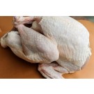 Whole Turkey Any Size