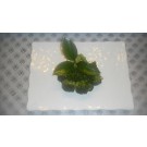 Roasted Broccoli