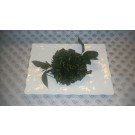 Sauteed Spinach