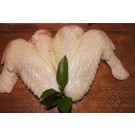 Turkey Wings