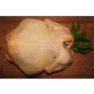 Whole Fresh Chicken Cleaned